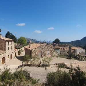110-Castello