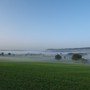 47-Herbststimmung