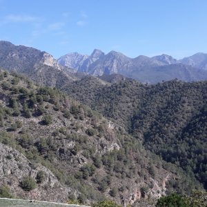 5-Frigiliana
