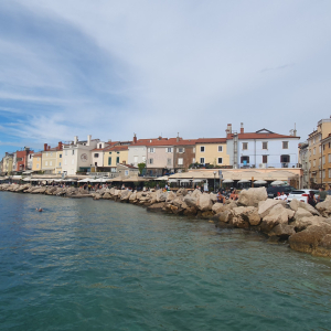 50-Pirano