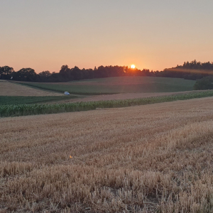 61-Sommer-Aargauer-Hügellandschaft.j