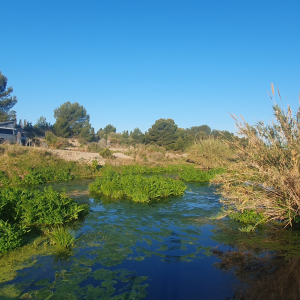 99-Almassora