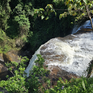 146-Wasserfall-Phnom-Kulen-NP
