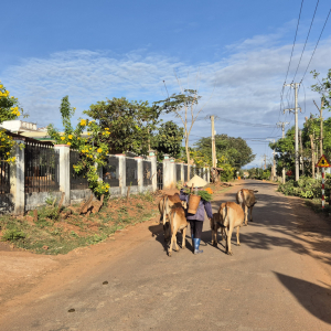 130-Fahrt-nach-Kon-K'tu