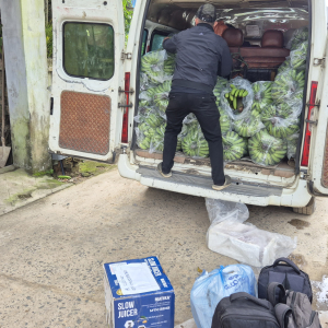 167-Bananentransporter