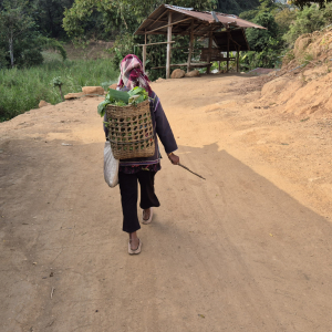 140-Langhals-Frauen-Siedlgung