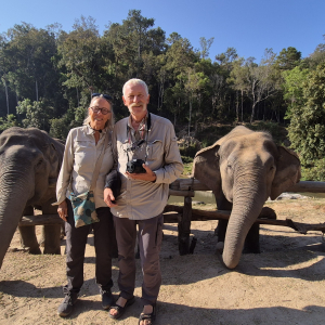 174-the-wild-elephant-camp