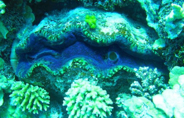 Neukaledonien